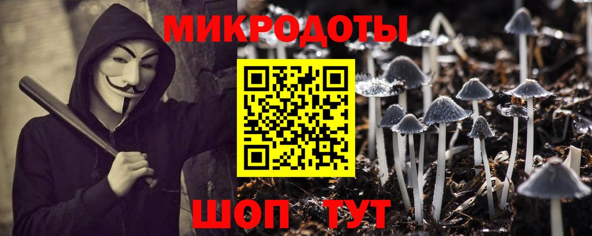 Псилоцибиновые грибы Psilocybine cubensis  Вход с VPN  как найти закладки  Узловая 